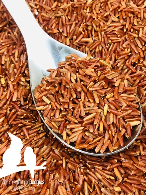 GẠO LỨC HUYẾT RỒNG - GIÁ TRỊ DINH DƯỠNG CAO (TÚI 1000G)