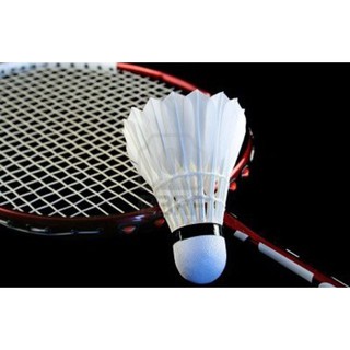 BỘ 2 VỢT CẦU LÔNG ZHIBO