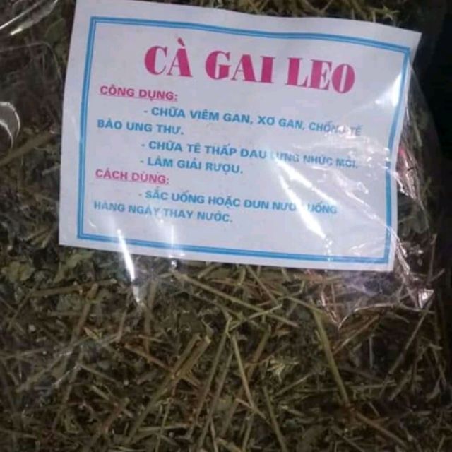 1kg cà gai leo