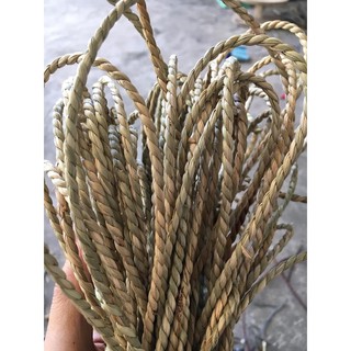 combo sợi sói 220m