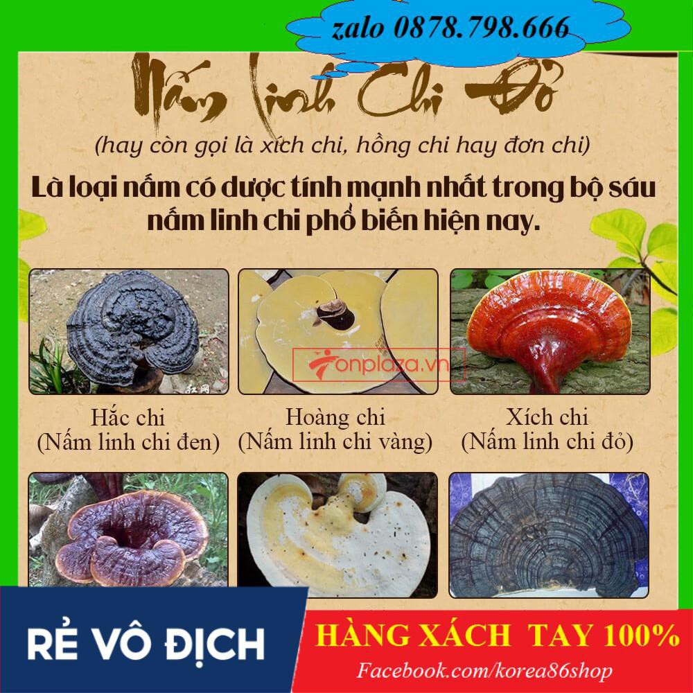 [ XÁCH TAY ]   Nấm linh chi Đỏ dạng khay HÀN QUỐC