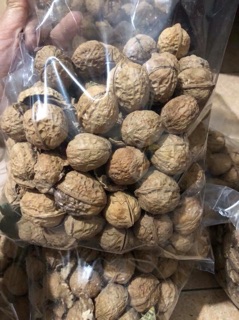 Óc Chó nếp loại 1 500g