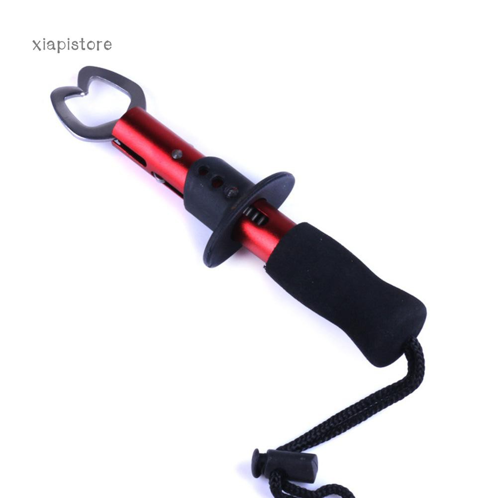 Dụng Cụ Kẹp Cá Mini 17Cm Bằng Thép Không Gỉ