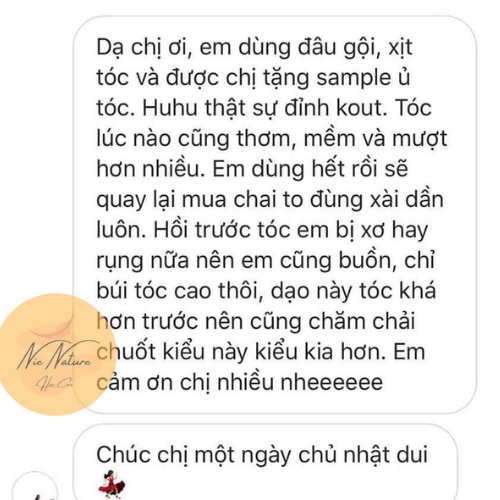 Dầu xả bồ kết kem ủ dưỡng tóc thảo dược dầu ủ phục hồi tóc hư tổn khô xơ 250g NIE NATURE
