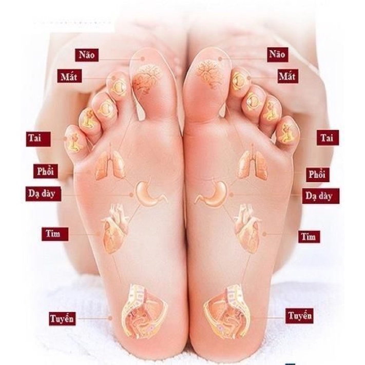 [FreeShip] Muối Ngâm Chân Thảo Dược (Thảo Dược Vùng Cao)