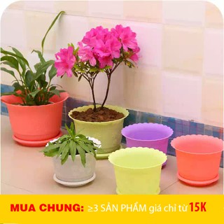 Chậu trồng hoa nhựa
