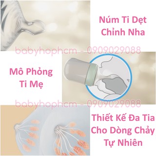 Núm ty Nuk NU21504 S2 Size L cho trẻ 6-18 tháng