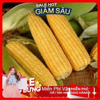 Hạt Giống Ngô Ngọt F1 - 20 Hạt / Gói