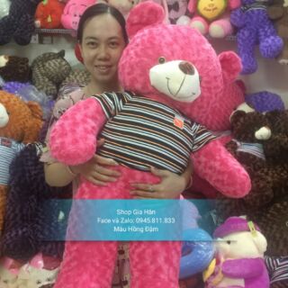Gấu Teddy 1m2