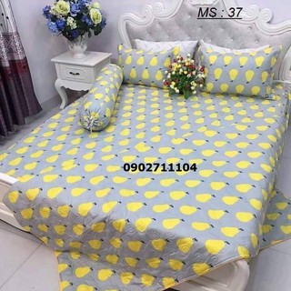 Bộ ga giường cotton