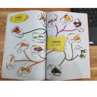 Sách Mind Map 5+ - 1200 Từ Vựng Tiếng Anh