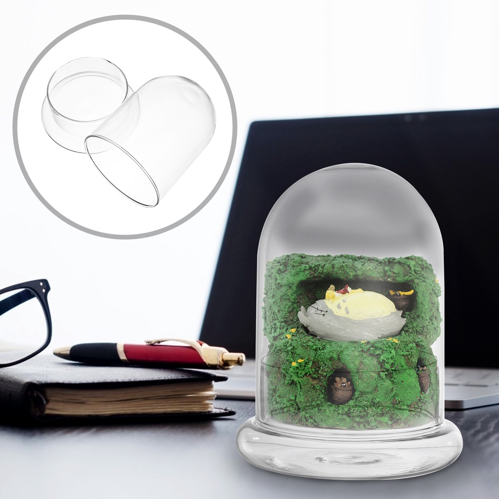 Hộp Kính Trong Suốt Trưng Bày Cloche Bell Dome Trưng Bày Cây Mọng Nước Đèn Thần Tiên