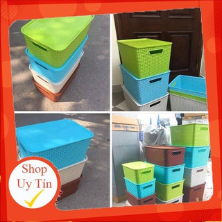 Giỏ Đựng Đồ giả mây phong cách Hàn Quốc / Song Long thùng nhựa đan đủ size nhiều mầu