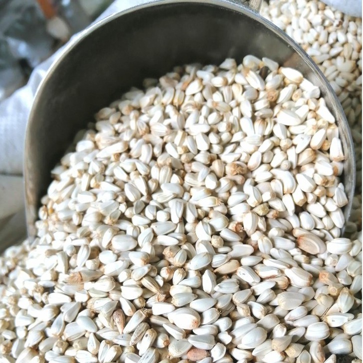500g Hạt Kham Trắng Giàu Dinh Dưỡng Cho Vẹt-Chim-Gà-Hamster-Rat