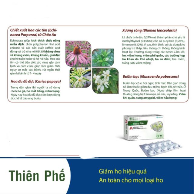 THIÊN PHẾ dịch chiết hoa cúc tím (mua 5 tặng 1) hỗ trợ giảm ho, tăng cường miễn dịch hộp 30 viên