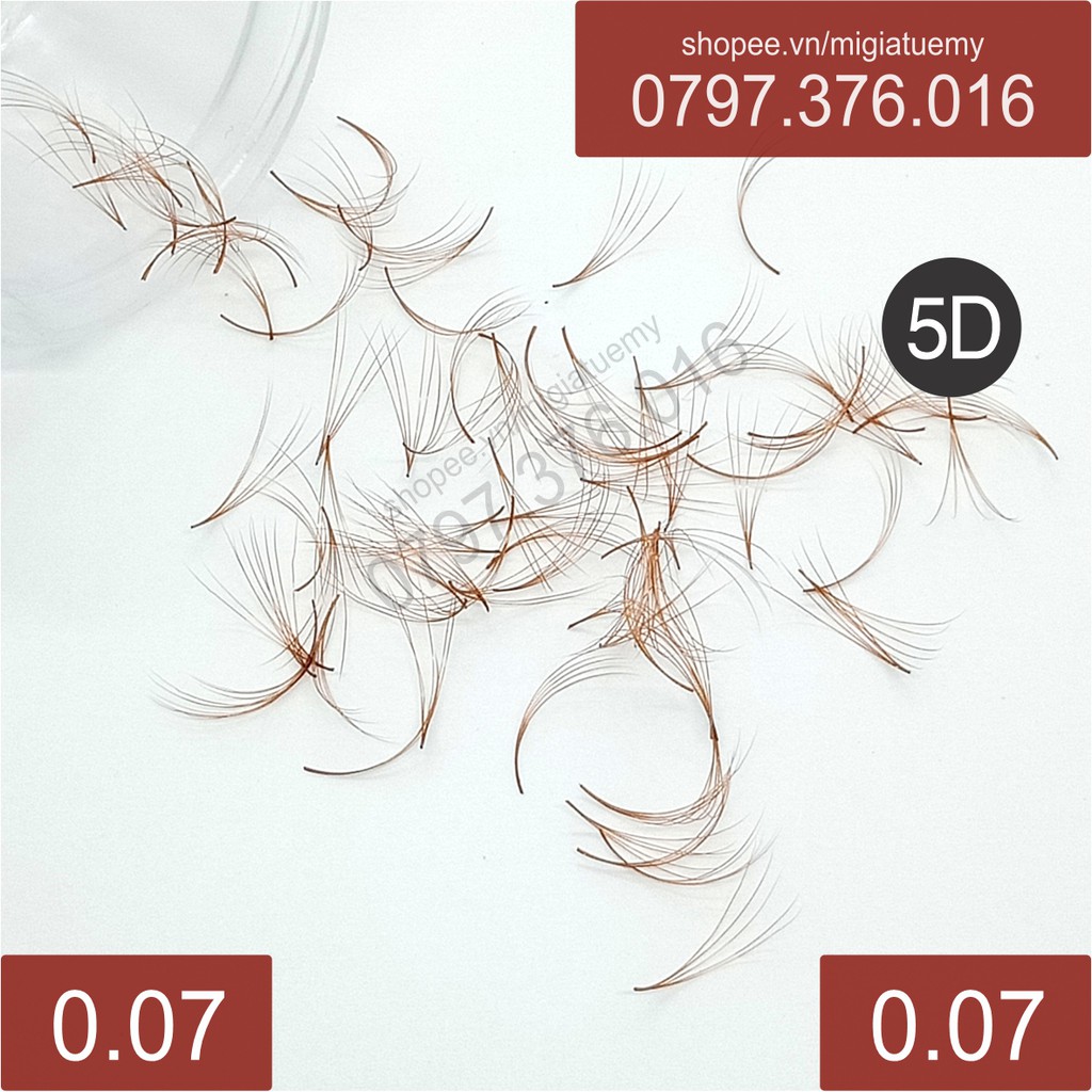 Mi Nâu Fan 5D Hộp 200 Fans