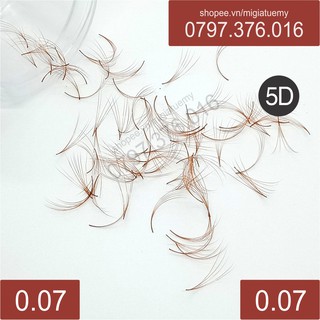Mi Nâu Fan 5D Hộp 200 Fans (Chọn Màu)