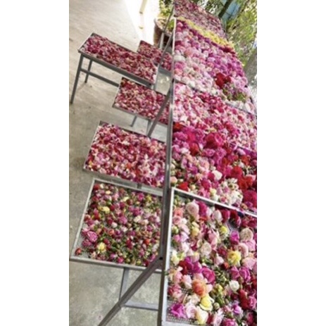 Trà Ngũ Hoa Dưỡng Nhan Dưỡng TAMY hũ thuỷ tinh 250g giúp phái đẹp detox, đẹp da, đen tóc, đốt mỡ, cân bằng nội tiết tố | Thế Giới Skin Care