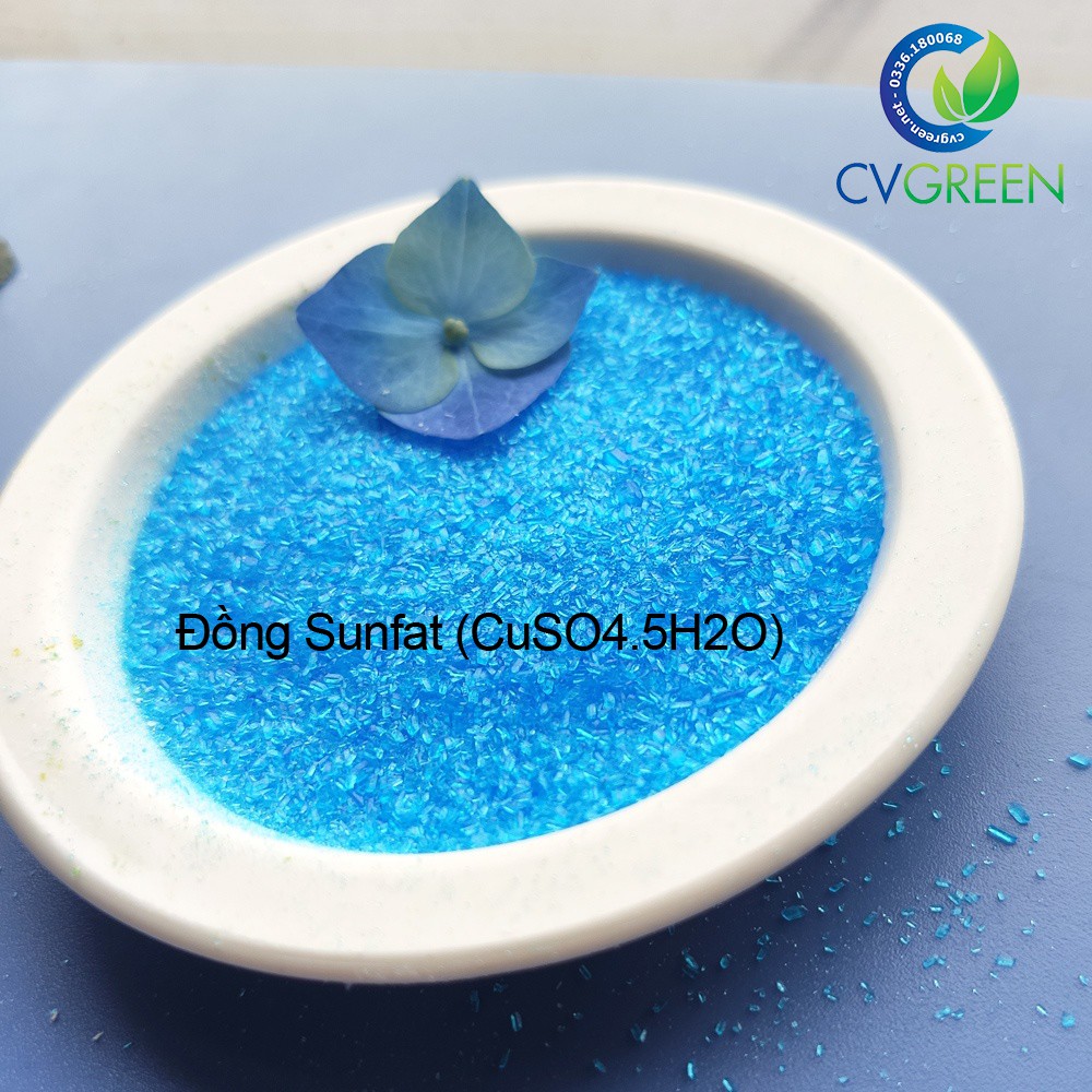 Đồng Sunfat  tan hoàn toàn trong nước