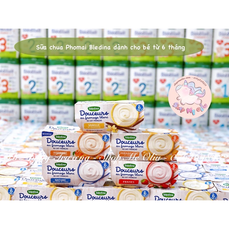 [ĐỦ BILL] Sữa chua Bledina phomai Douceurs Bledina Pháp cho bé từ 6 tháng - Hàng Air (100g x 4)