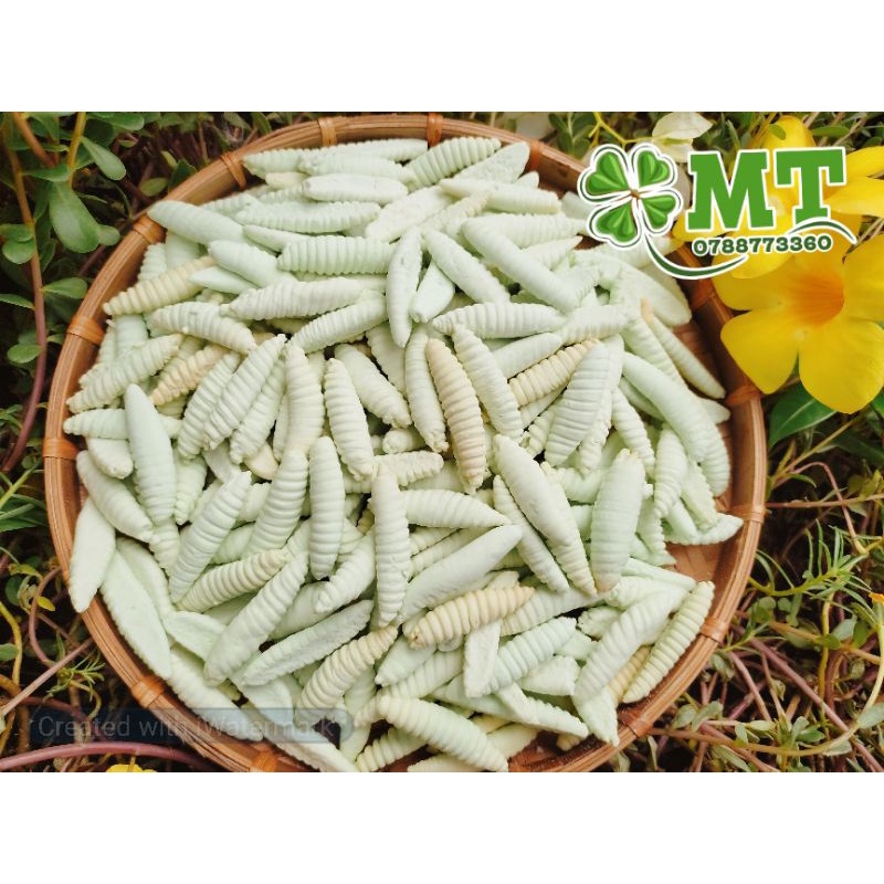 Bánh đuông lá dứa 100% tự nhiên không phẩm màu 500g