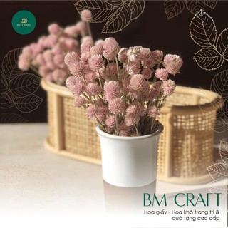 Hoa Khô - Chùm Cỏ Eric Khô ngoại nhập
