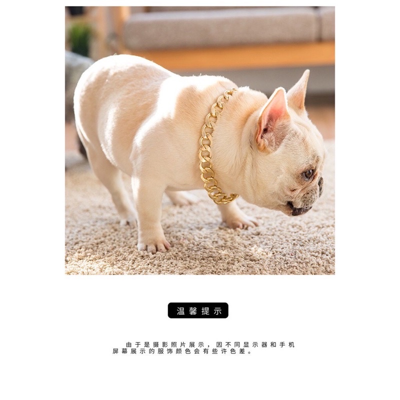 Vòng cổ cho chó Teddy Pug Chó chiến đấu Pháp.Dây chuyền vàng cho chó pug😍😍😍