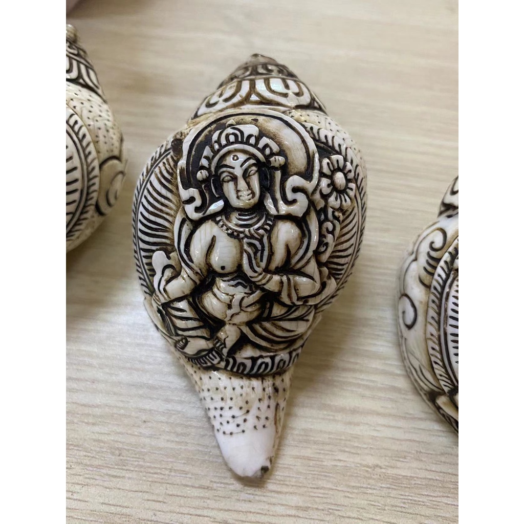 Ốc Biển chạm Nepal 10cm