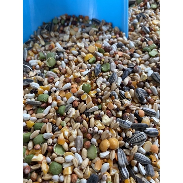 Ngũ cốc hạt trộn dành cho hamster, két, vẹt, yến phụng,... - Pet Food Store.