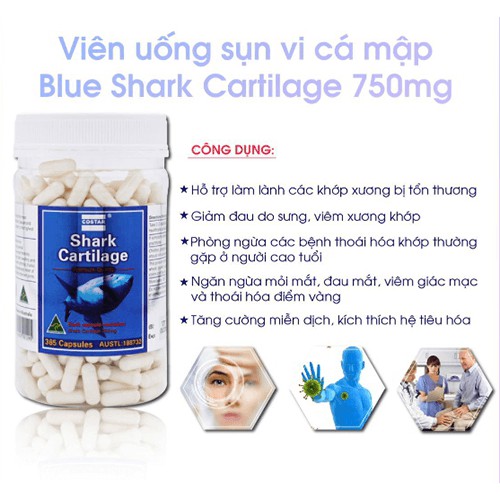 Viên Uống Sụn Cá Mập Blue Shark Cartilage Costar 365 Viên- Hỗ Trợ Viêm Khớp, Thoái Hóa Khớp, Tái Tạo Sụn Khớp