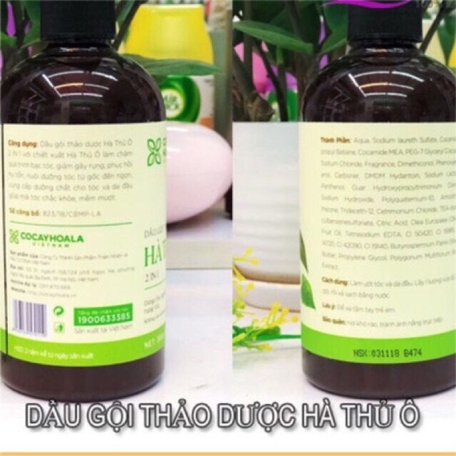 Dầu gội thảo dược Hà Thủ Ô 2 in 1(thảo dược Hà Thủ Ô,dầu Olive,dầu Macadamia,dầu Argan,tinh dầu bưởi và collagen)300g