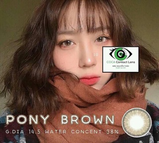 Mini Pony Brown