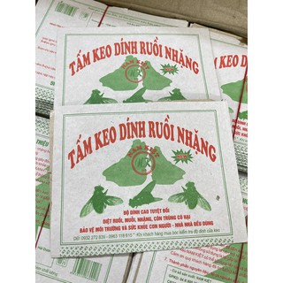 10 Miếng keo dán ruồi loại lớn M2T