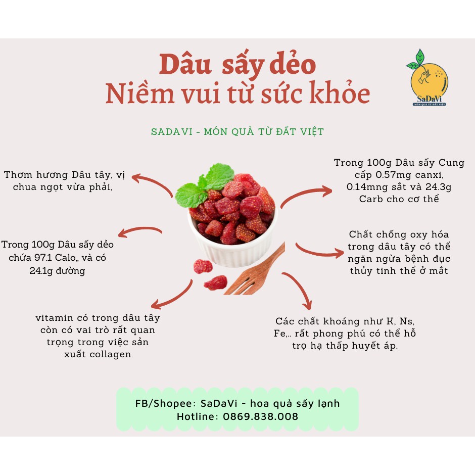 DÂU SẤY DẺO thơm ngon chua ngọt ít đường SaDaVi - đồ ăn vặt Việt Nam healthy đặc sản Đà Lạt - Túi Zip 100g