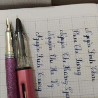 Bút máy kim tinh lá tre T001