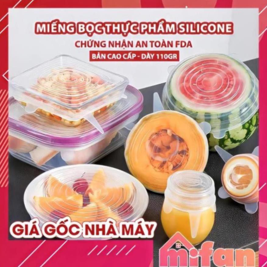 Bộ 6 Miếng Silicone Bọc Thực Phẩm Cao Cấp- Nắp đậy màng Silicon bảo quản thức ăn Dày Dặn Độ Co Giãn Tốt.