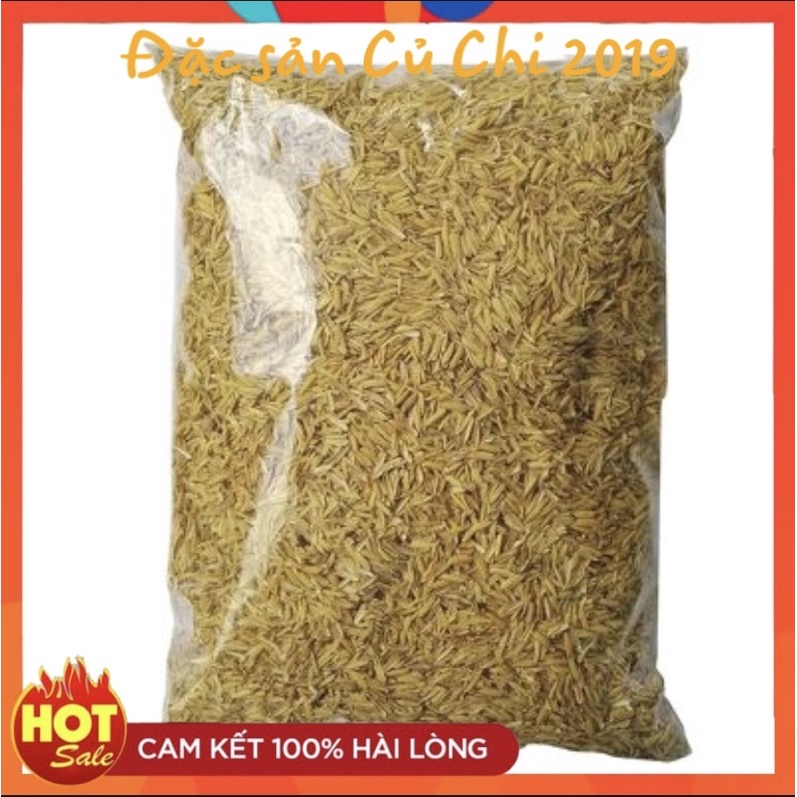Vỏ trấu trồng cây
