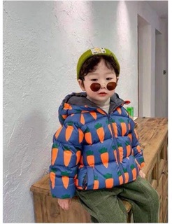 Áo phao lông vũ cho bé trai