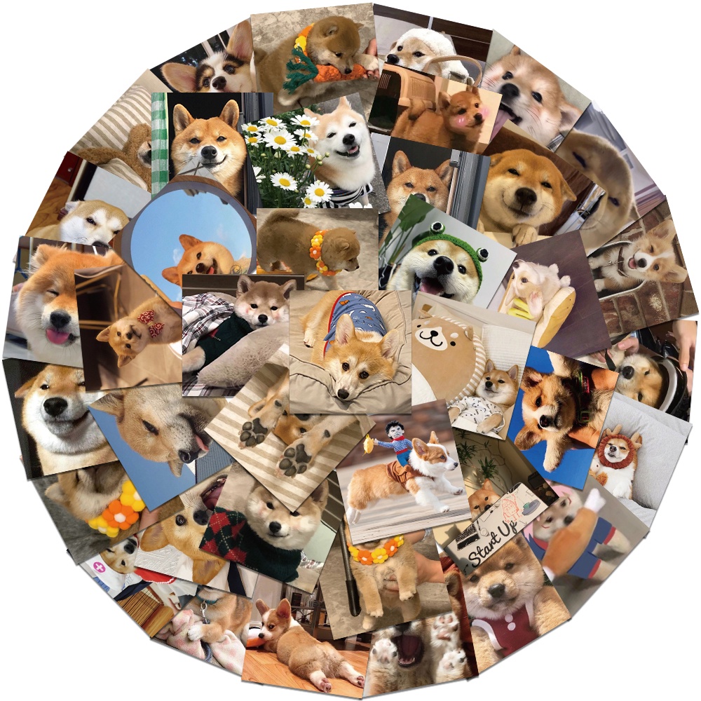 Nhãn Dán Trang Trí Hình Chú Chó Shiba Inu Akita Dễ Thương
