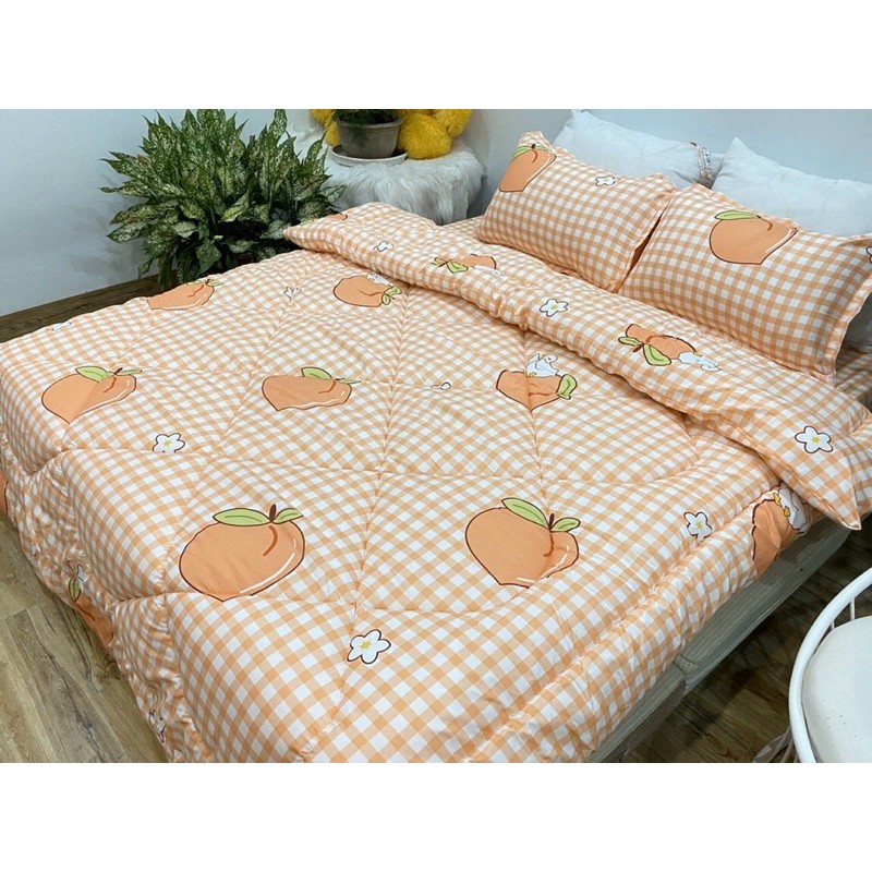 Bộ sét chăn phao 5 món cotton poly Đào kẻ