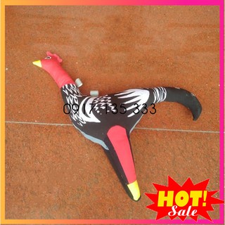 Gà Bông Tập Lực Cho Gà Đá