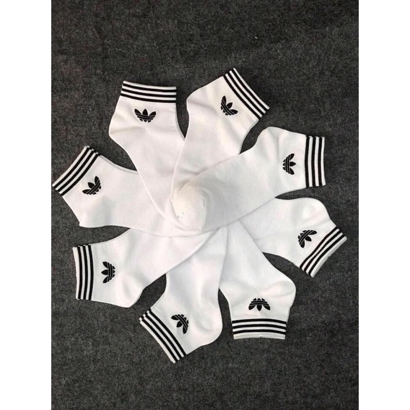 PK28 - Tất Das nhỡ viền cổ