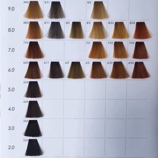 bảng màu musk