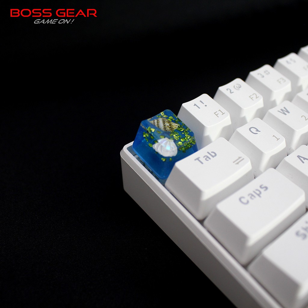 Keycap Lẻ hình ốc và sò biển ( keycap resin độc lạ )( Keycap Artisan )