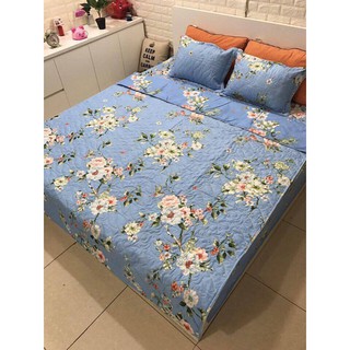 Bô chăn ga trần bông dày dặn