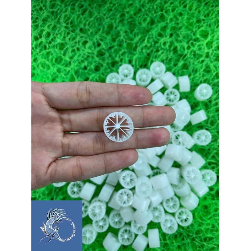 Hạt Lọc Kaldnes tạo vi sinh cho bể cá cảnh -