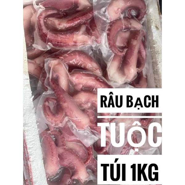 Râu bạch tuộc 1kg net6