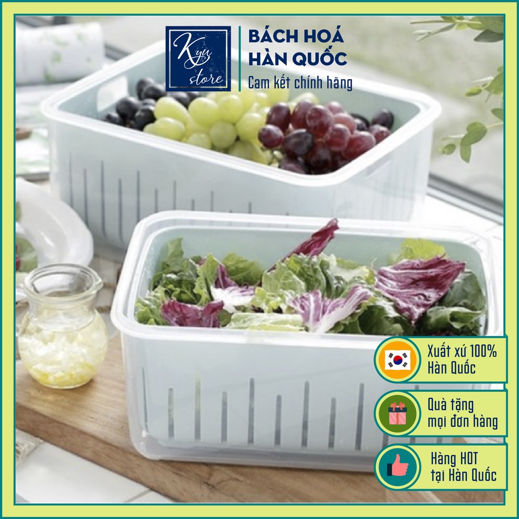 [Hàng nội địa Hàn Quốc] Hộp Đựng Thực Phẩm Tủ Lạnh Ngăn Mát và Trữ Đông 4L | Combo Hộp Đựng Rau Củ Quả Ngăn Mát Tủ Lạnh có rổ thoát nước 4000ml