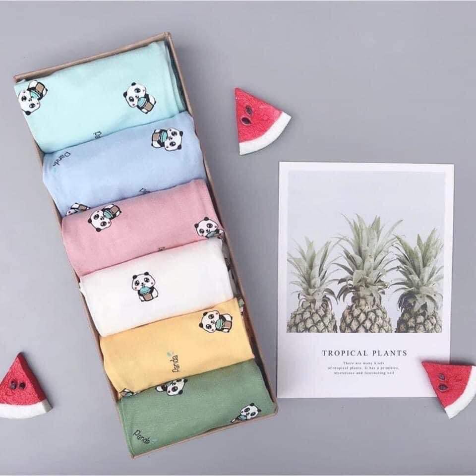 Bộ peekaboo gấu mềm mịn loại 1 xuất Hàn cho bé