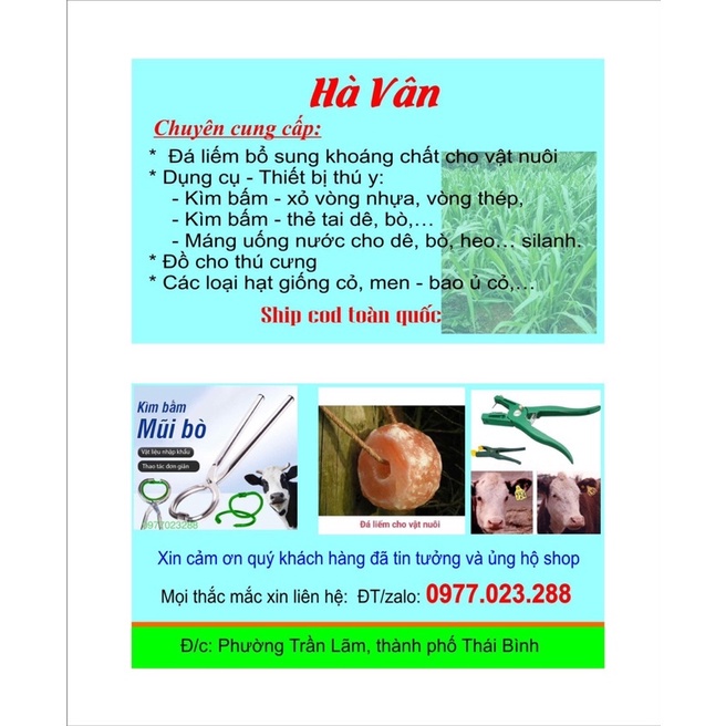 Kìm bấm mũi cho trâu, bò tiện dụng - Vòng xỏ mũi gia súc - Hà Vân Store
